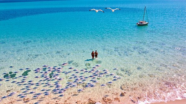 Plongée dans l'archipel des glénan : un paradis sous-marin à explorer